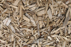 biomass boilers Holbeache